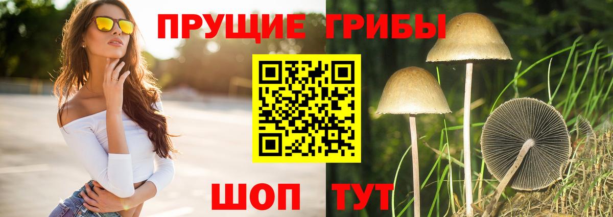 Псилоцибиновые грибы GOLDEN TEACHER Барабинск
