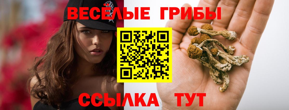 Галлюциногенные грибы Magic Shrooms  Псилоцибиновые грибы GOLDEN TEACHER  Барабинск  Вход с VPN 